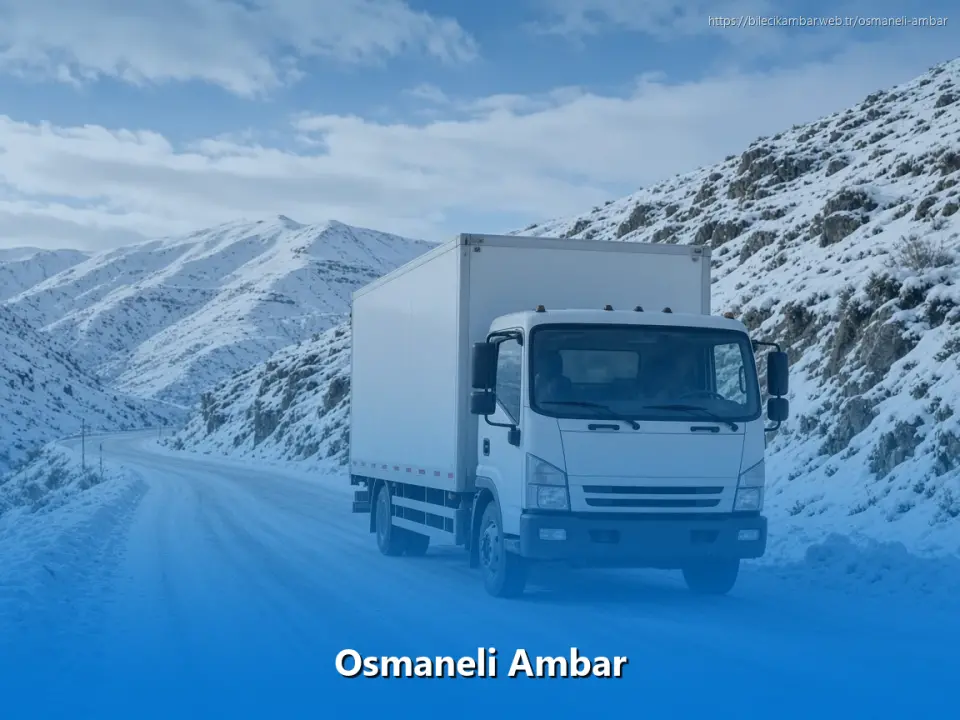 Osmaneli Ambar